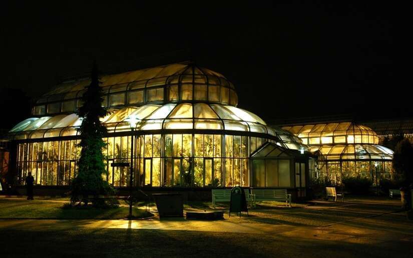 © I. Haas, Botanischer Garten und Botanisches Museum Berlin-Dahlem